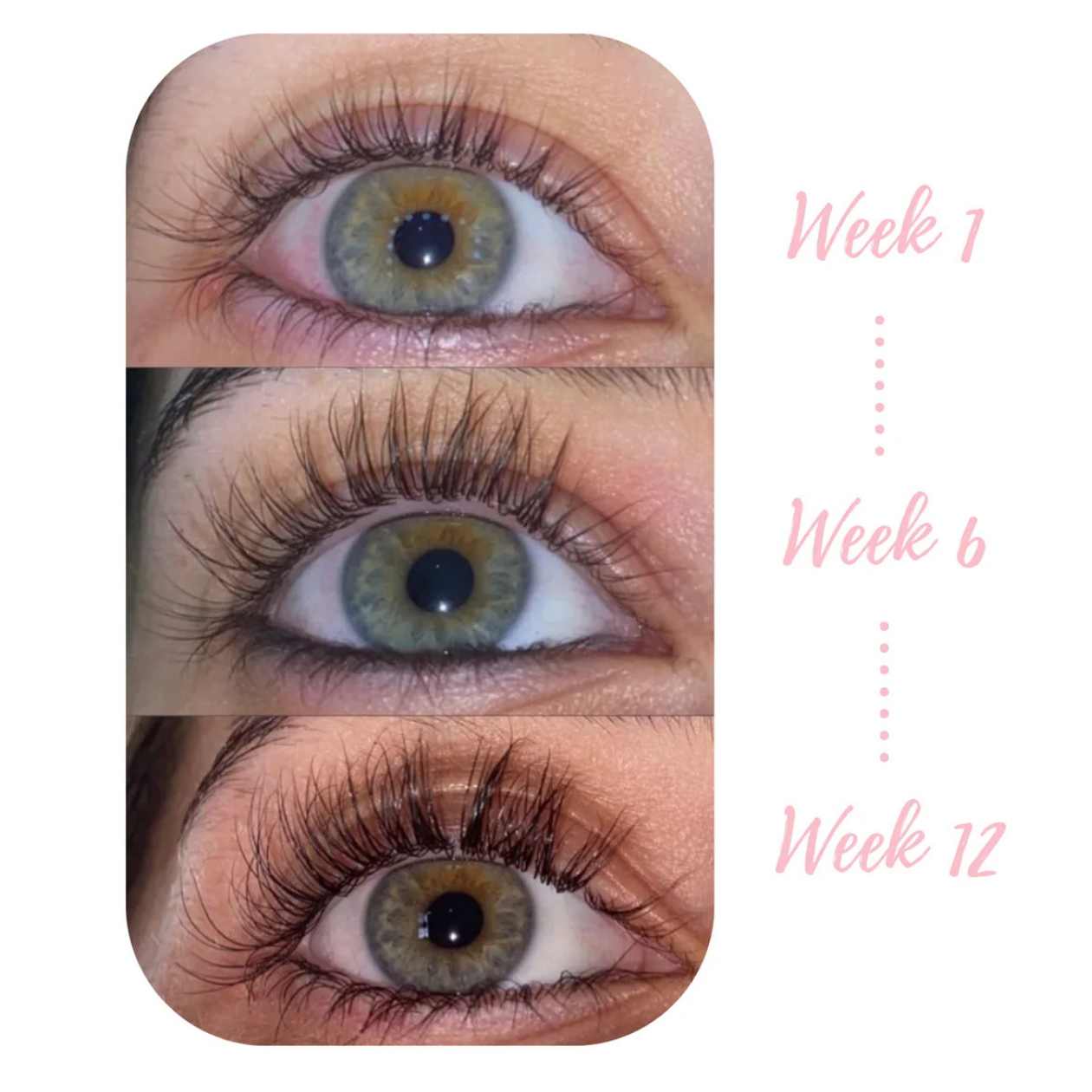 EYELASH SERUM